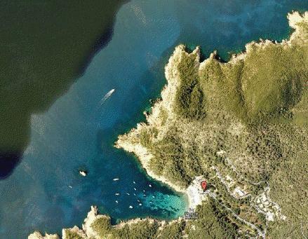 La otra vida tardará en resurgir de las cenizas