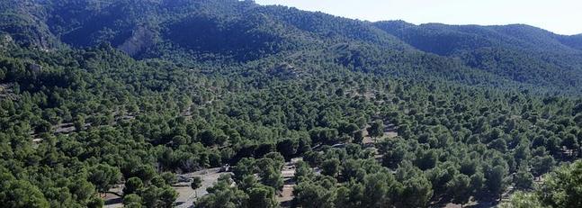 La declaración de Reserva de la Biosfera de las Sierras y Campo de Murcia