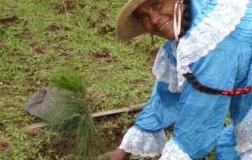 La sustentabilidad ambiental requiere la participación de la mujer