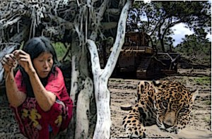 Conoce el ‘Gran Chaco Americano’