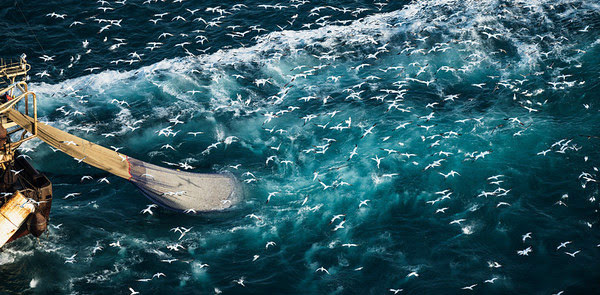 Europa es ‘sinónimo’ de sobrepesca