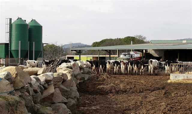 Monstruoso proyecto para una granja de 20.000 vacas en Soria
