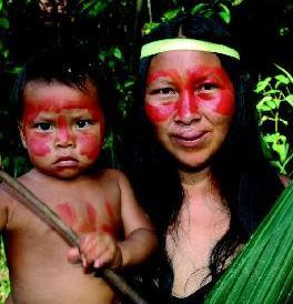 Días decisivos para Yasuní