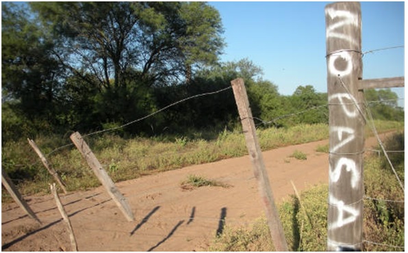Los nuevos dueños del Chaco paraguayo