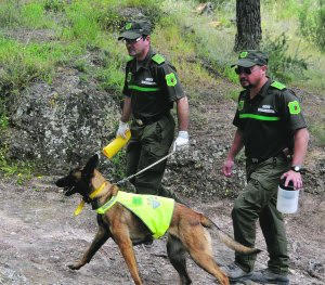 La Benemérita detiene a cuatro individuos por agredir a un agente medioambiental