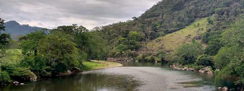 Lombrices en el agua potable