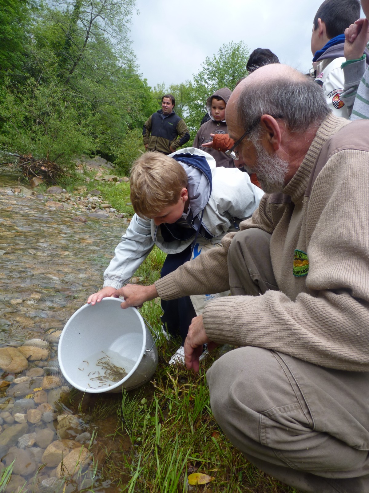 Suelta de cerca de cinco mil alevines de trucha en el río Miera