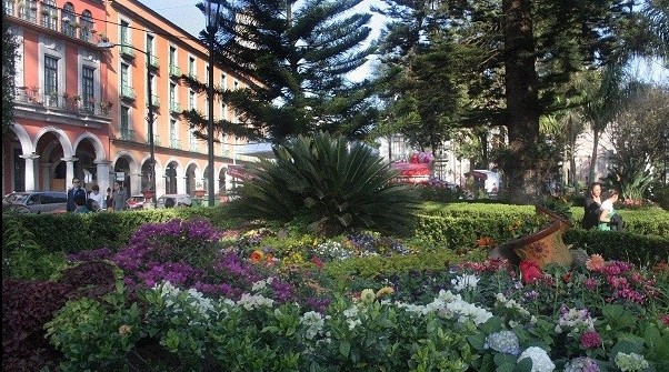 Xalapa