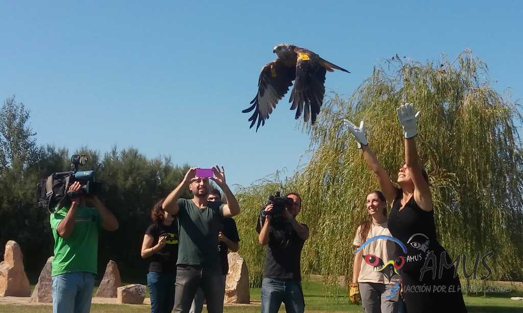 AMUS y el Gobierno de Aragon firman un acuerdo de colaboración