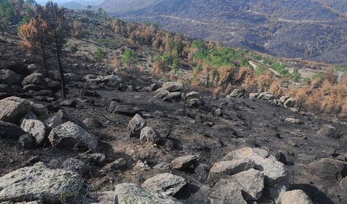 Se cumple un año del incendio de la sierra oeste de Madrid