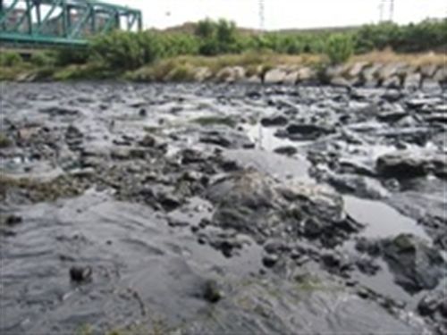 El vertido de combustible del Rena en Nueva Zelanda se extiende