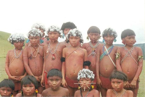 Decenas de comunidades indígenas no contactadas de Amazonía pueden desaparecer