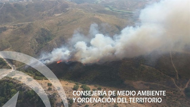 Declarado un incendio forestal en Benahavís