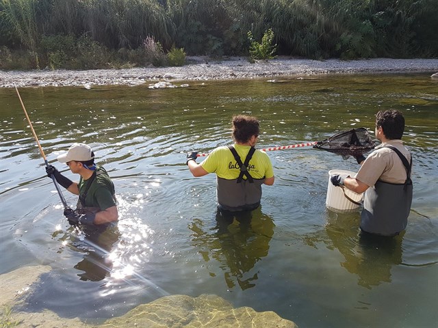 Un estudio de la UPV contribuirá a determinar un nuevo caudal ecológico para el río Serpis