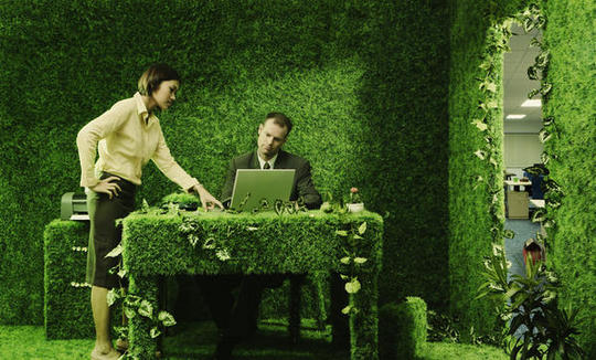 Medio Ambiente ‘apuesta’ por el empleo verde