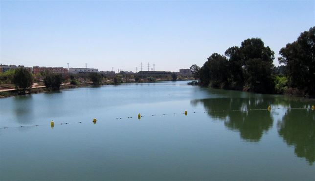 Ecologistas aceptan un proyecto LIFE para el Guadalquivir