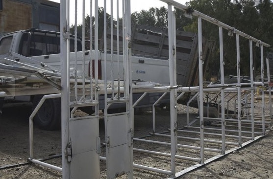 Argentina. La policía desmantela carreras de galgos con apuestas