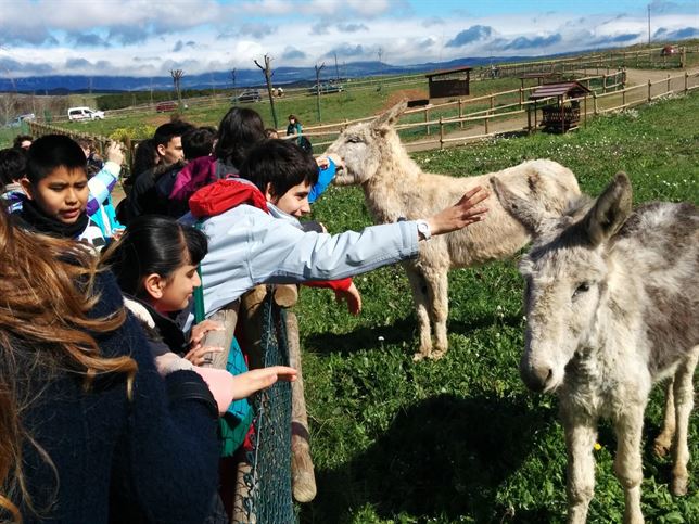 La Rioja. La Grajera abre de nuevo su granja con unos 75 animales