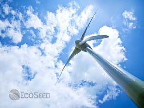 Wind farms pose no health risks