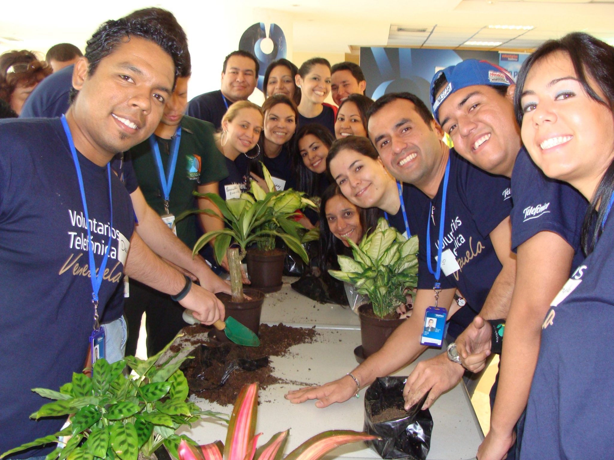 Ambiente Miranda y Fundación Telefónica unidos por el ambiente