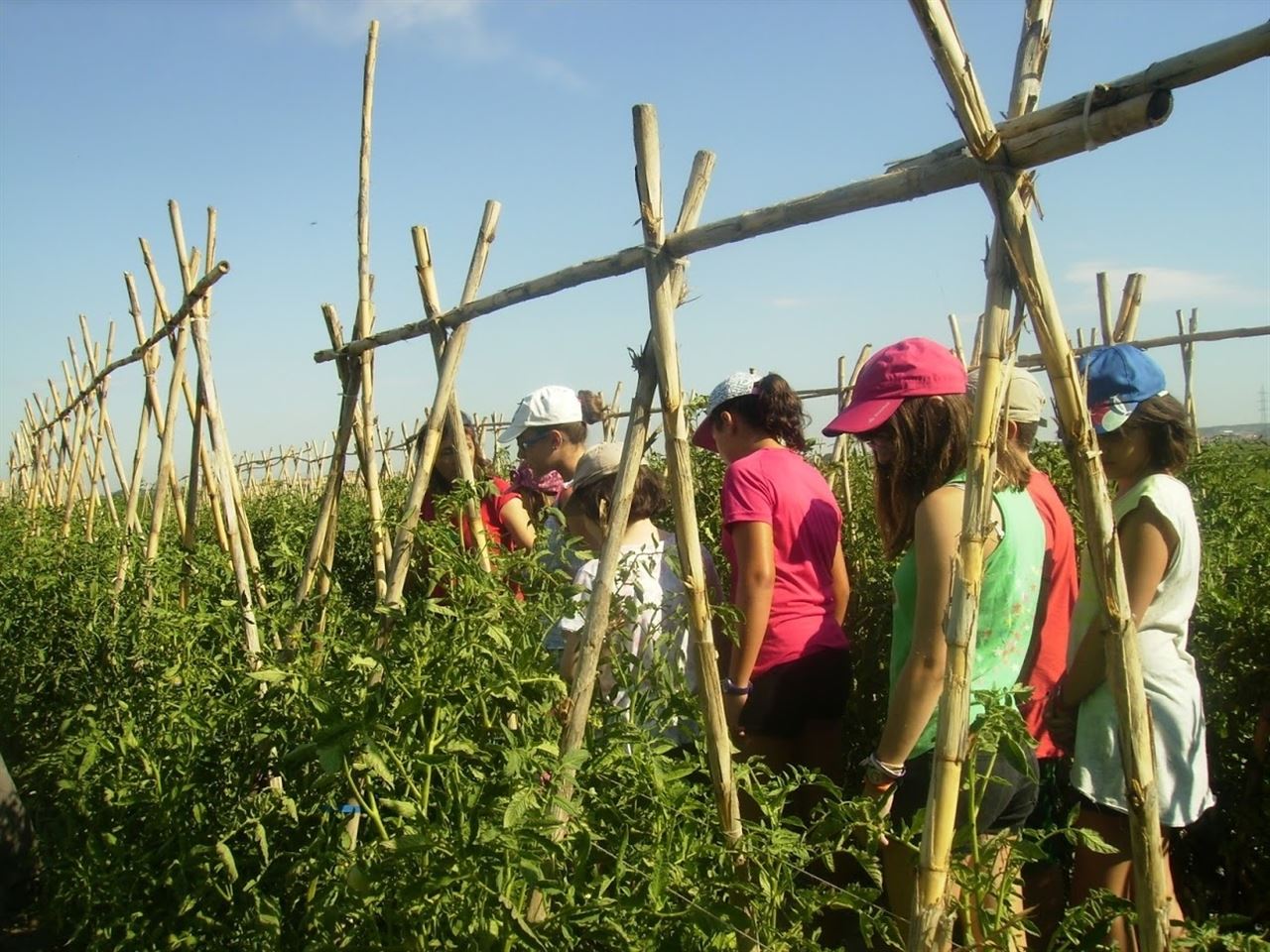 Escolares aragoneses con el medio natural