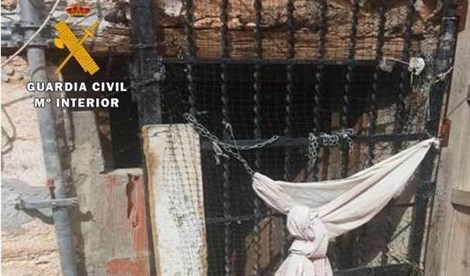 Rescatan a dos perros abandonados y hallan a otro muerto en una casa abandonada de Yeste