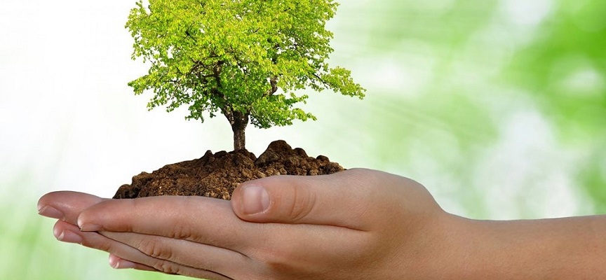 Te gustaría prestar tus servicios de asesor medioambiental a empresas