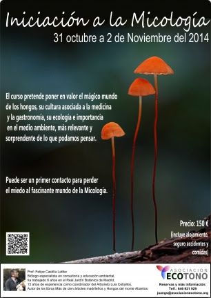 La micología y todos sus secretos en este curso