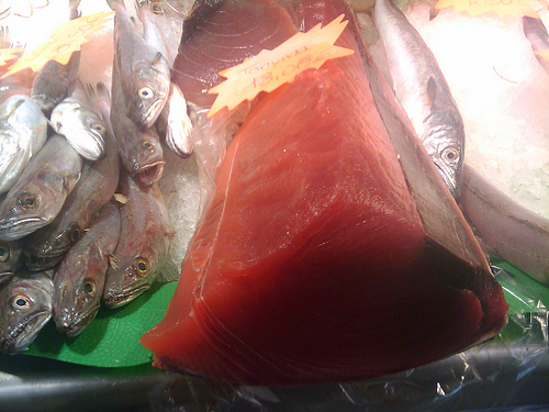 El Gobierno afirma que trabaja para que la UE compense al sector por la reducción de cuota del atún rojo