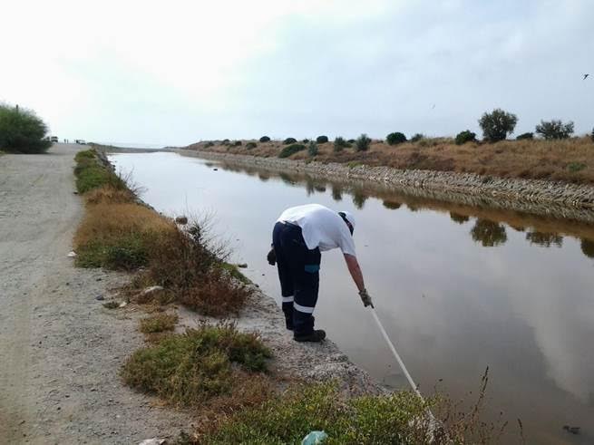 Málaga actuará contra los mosquitos en paraje del Guadalhorce