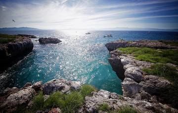 Únete al cuidado de la biodiversidad