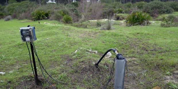 Andalucía investiga la cooperación de alcaldes de Almonte en extracciones de agua en Doñana