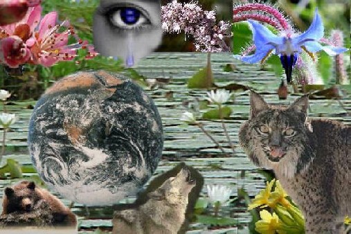 Celebran Día Mundial de la Biodiversidad en Dominicana resaltando su valor