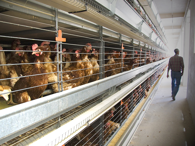 La biomasa: una fuente de energía