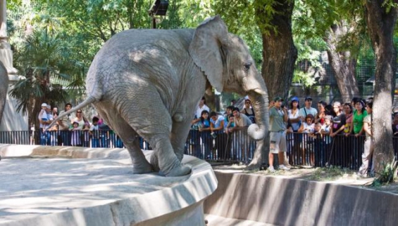 De Zoológico a ‘ecoparque’