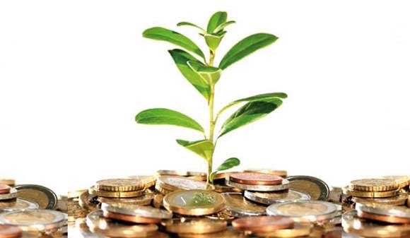 España suspende en impuestos verdes