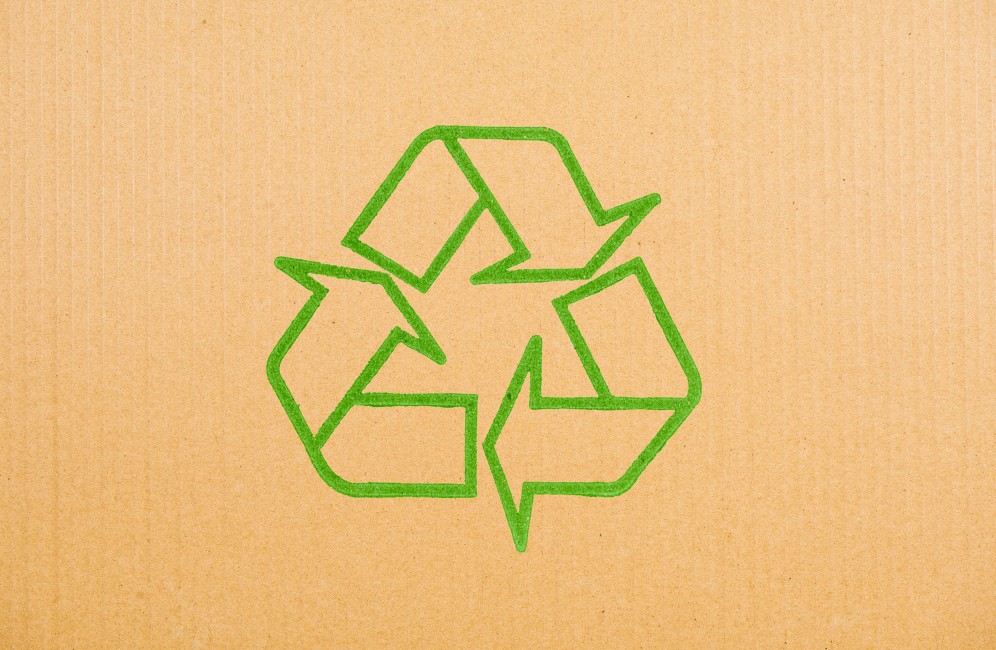 Innovación y tecnología en envasado de alimentos ecológicos