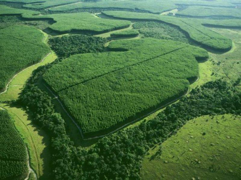 América Latina y el Caribe trabajan duro contra el cambio climático