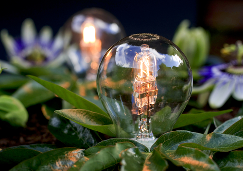 Quieres gestionar y desarrollar energías renovables