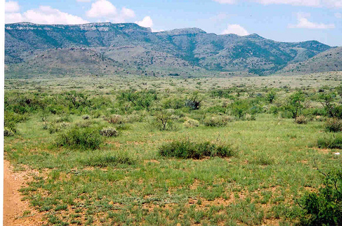 Peligra biodiversidad y humanidad