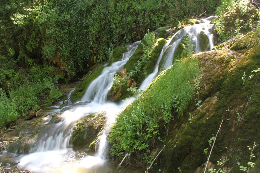 La calidad del agua del río Cerezuelo en los dos tramos adoptados por Gypaetus es buena y moderada
