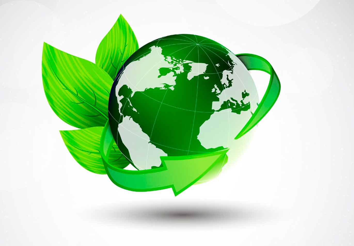 Máster en Economía Circular Aplicada