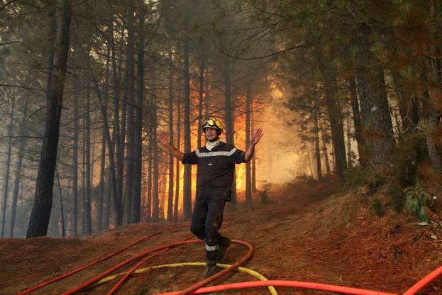 La superficie forestal quemada este verano en Navarra ha sido de 218 hectáreas
