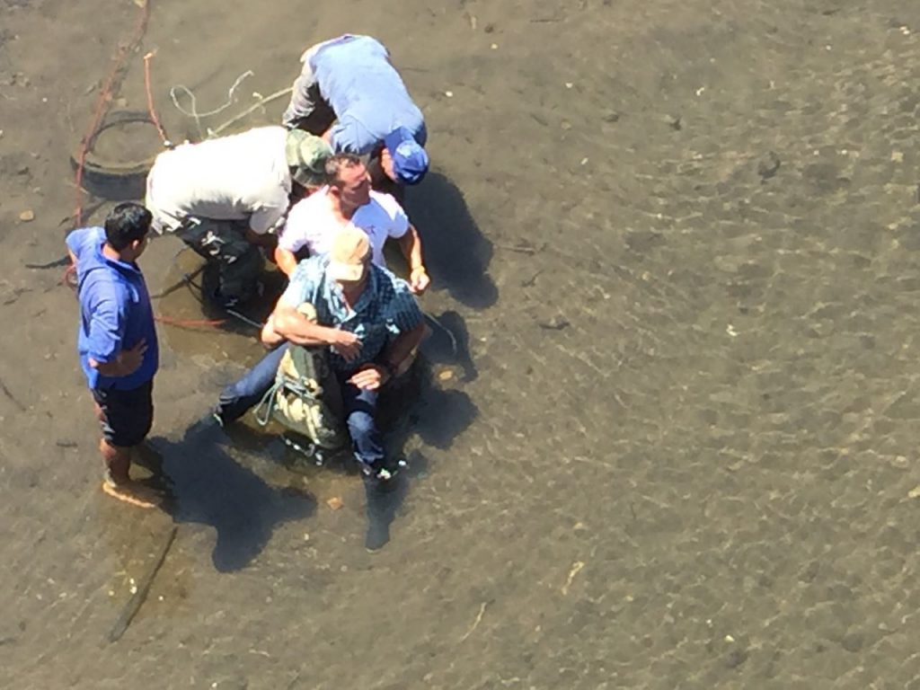 Costa Rica. Cuál es el estado de salud de cocodrilos del río Tárcoles