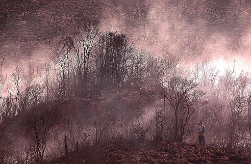 Gran incendio forestal afecta una reserva natural en Colombia