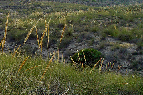 Los parques naturales de Andalucía inician actividades de educación ambiental para su población residente