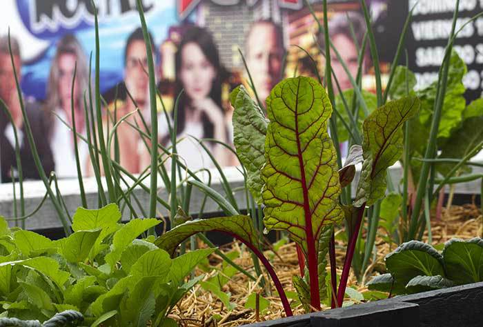 Injusticias ambientales