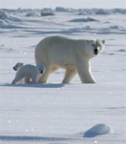 Falta de voluntad ‘real’ de los líderes mundiales en la cumbre de cambio climático