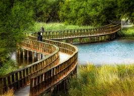 Mejora del saneamiento y depuración de los municipios de las Tablas de Daimiel (Ciudad Real)