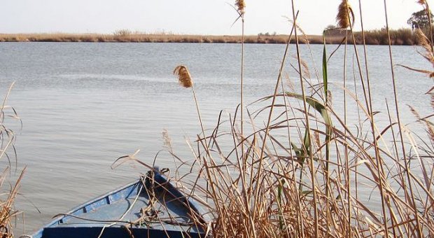 Aprobado el nuevo plan hidrológico del Ebro que creará 18.000 empleos anuales